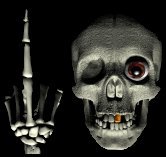 skulled.jpg